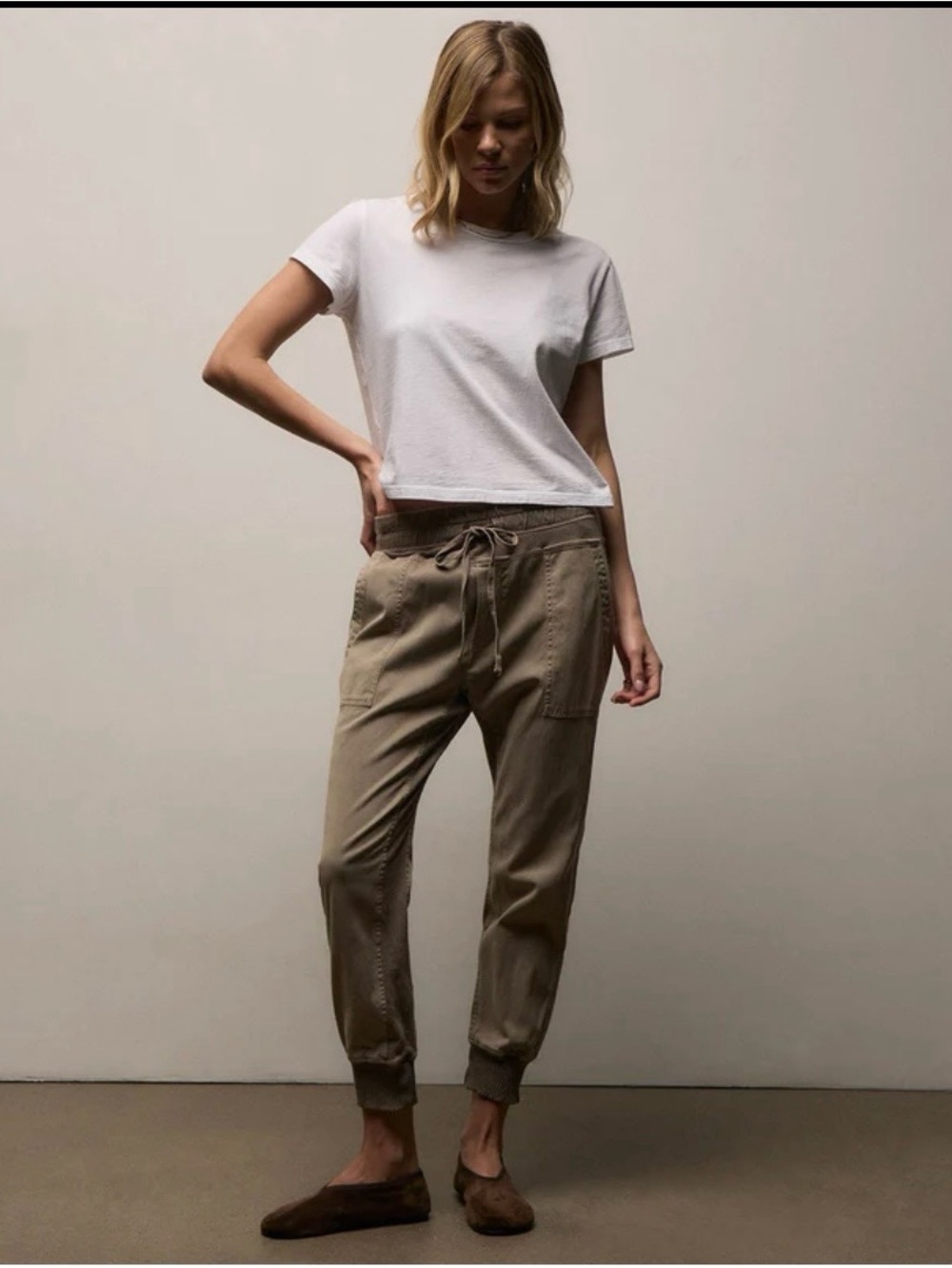 James Perse Mixed Media Pants Jogger Pants in Dark Taupe.